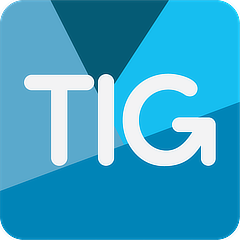 TIG - The Integrity Group - logo